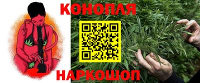 jwh Будённовск