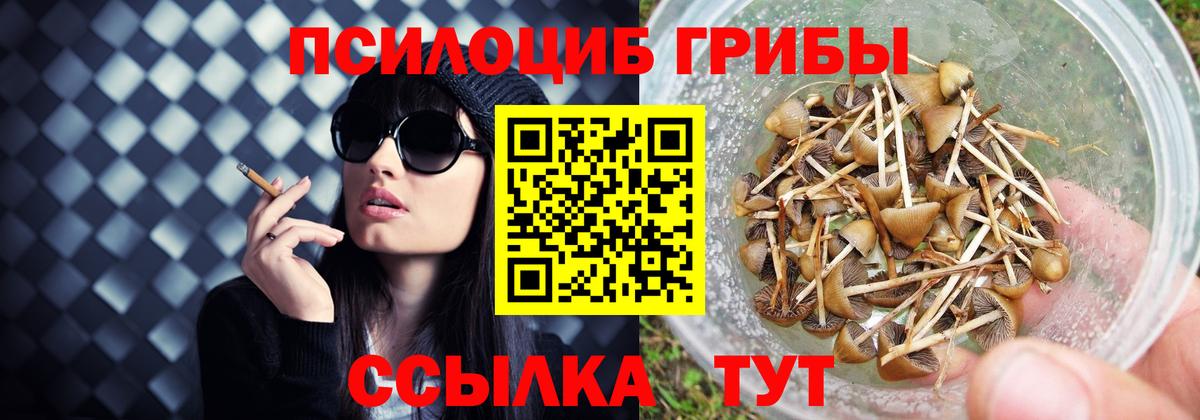 Псилоцибиновые грибы Psilocybe  Галлюциногенные грибы Magic Shrooms  Малоярославец  Вход с VPN 