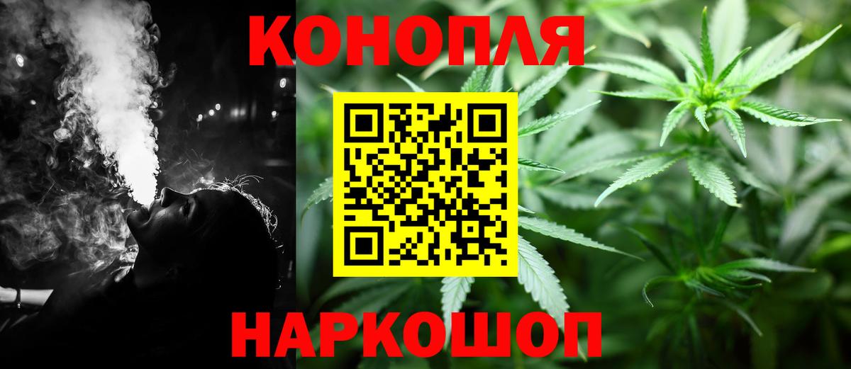 Бошки Шишки Amnesia Малоярославец